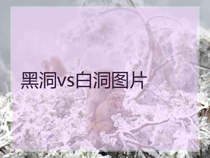 黑洞vs白洞图片