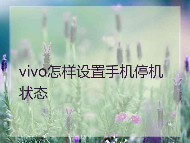 vivo怎样设置手机停机状态