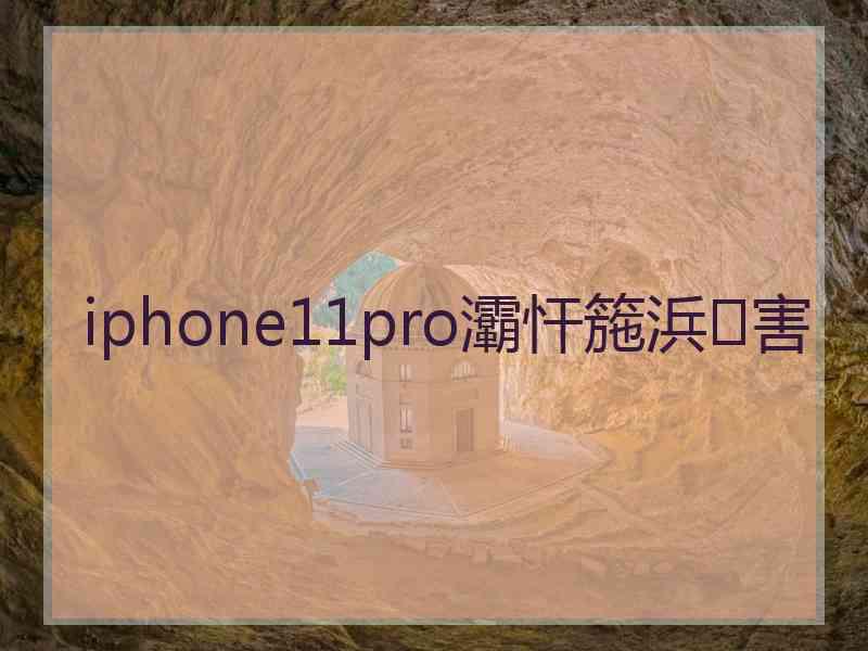 iphone11pro灞忓箷浜害