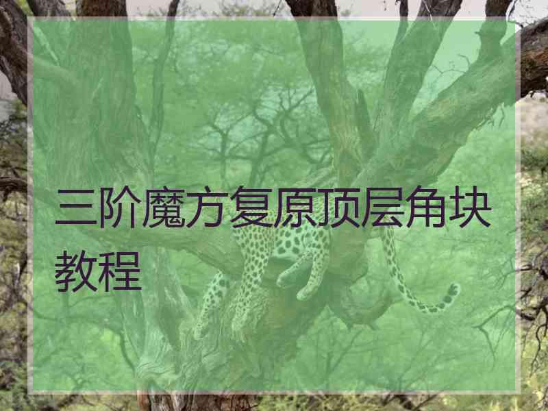 三阶魔方复原顶层角块教程