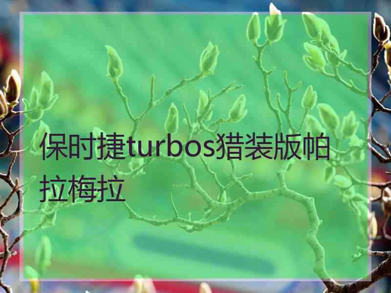 保时捷turbos猎装版帕拉梅拉