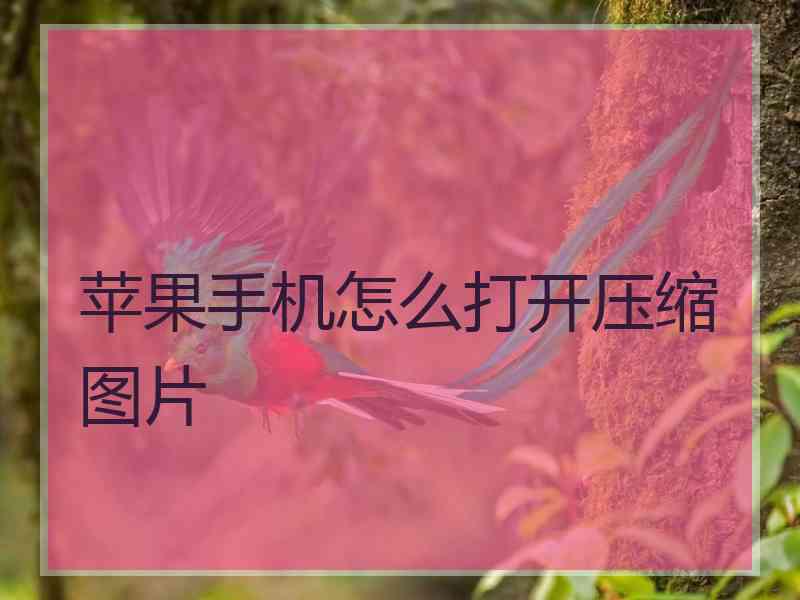 苹果手机怎么打开压缩图片