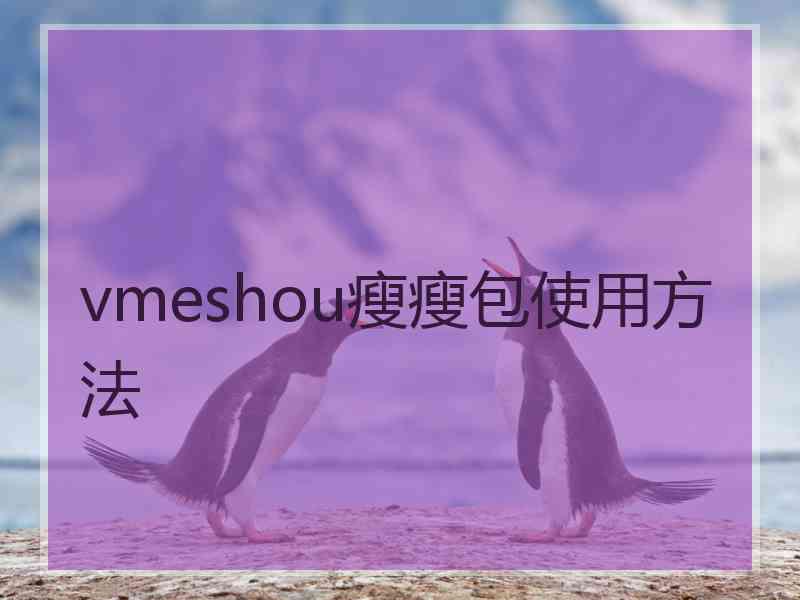 vmeshou瘦瘦包使用方法