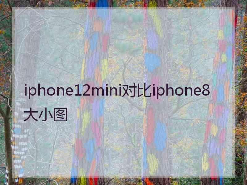 iphone12mini对比iphone8大小图