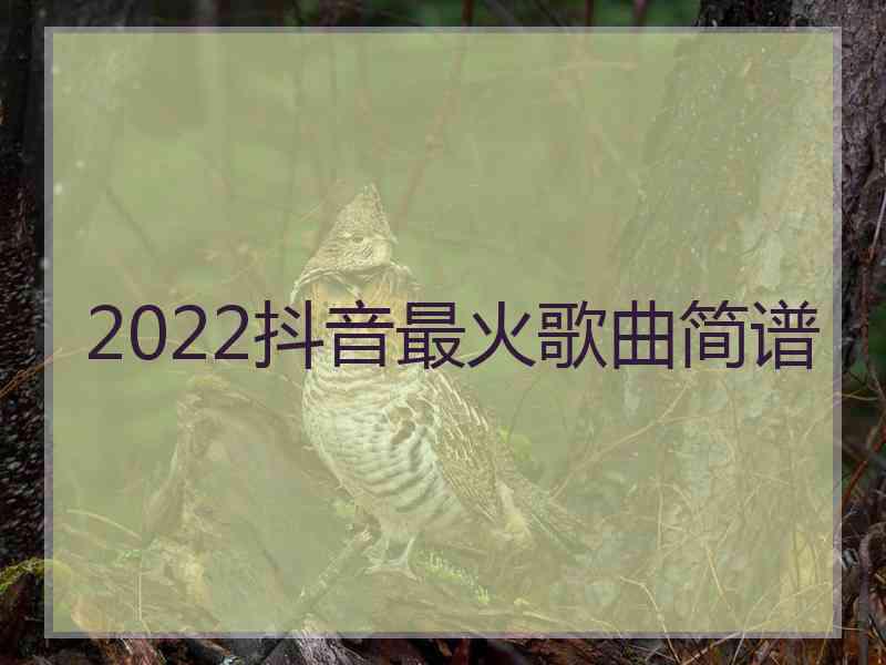 2022抖音最火歌曲简谱