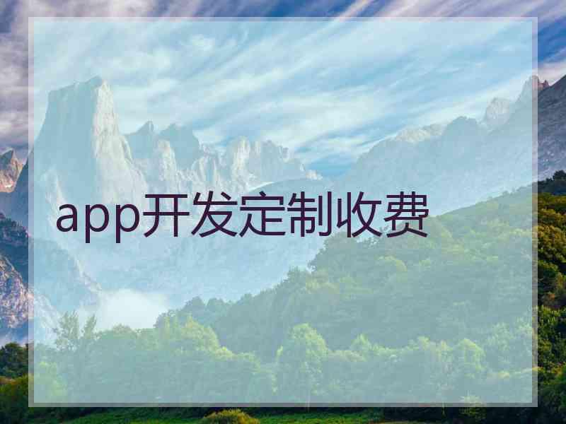 app开发定制收费