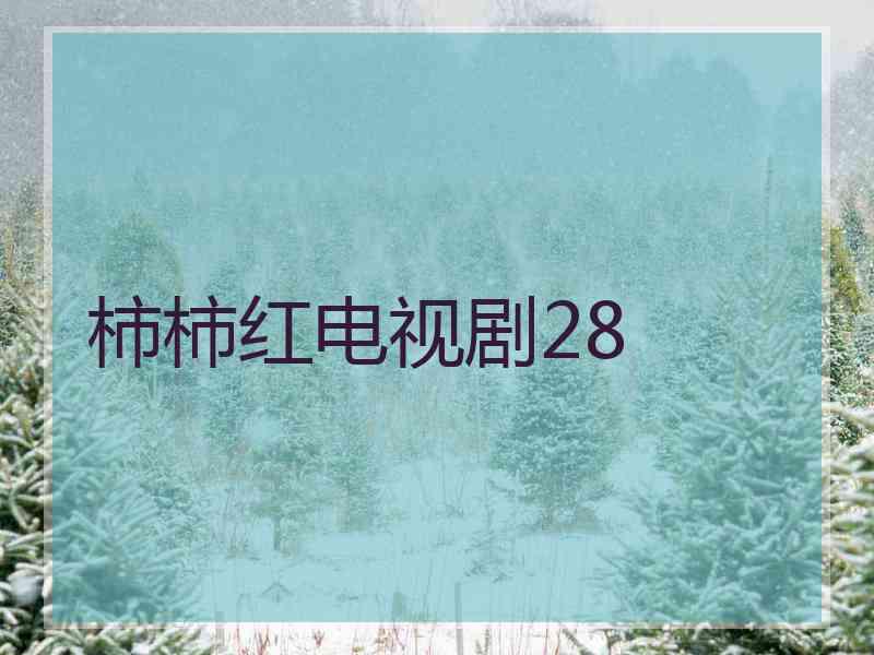 柿柿红电视剧28