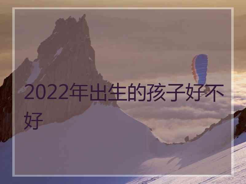 2022年出生的孩子好不好