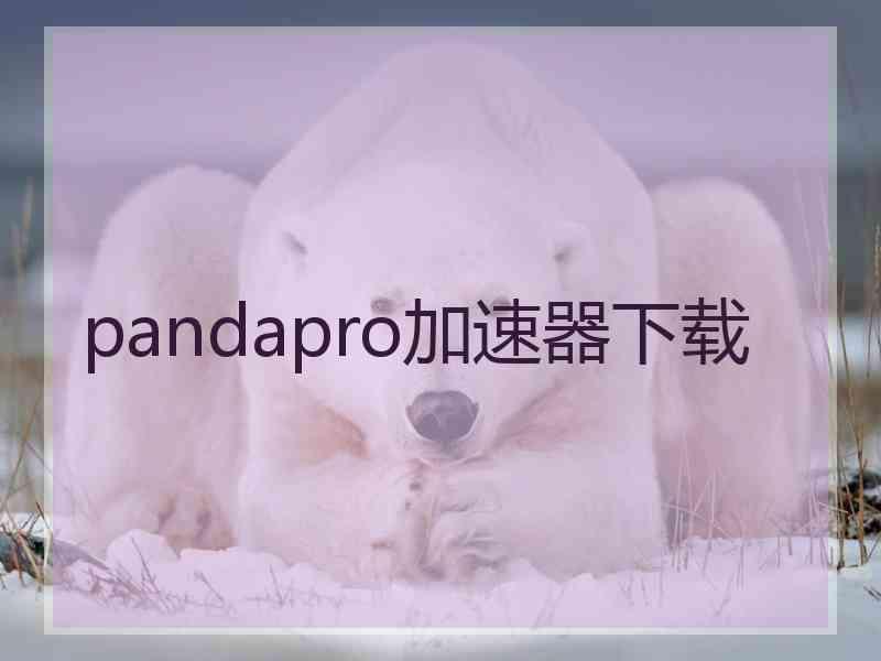 pandapro加速器下载