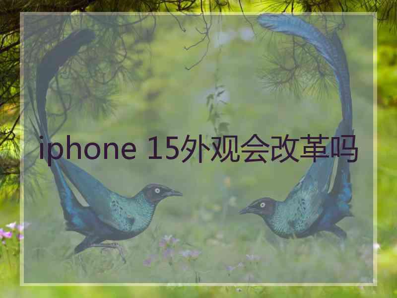 iphone 15外观会改革吗