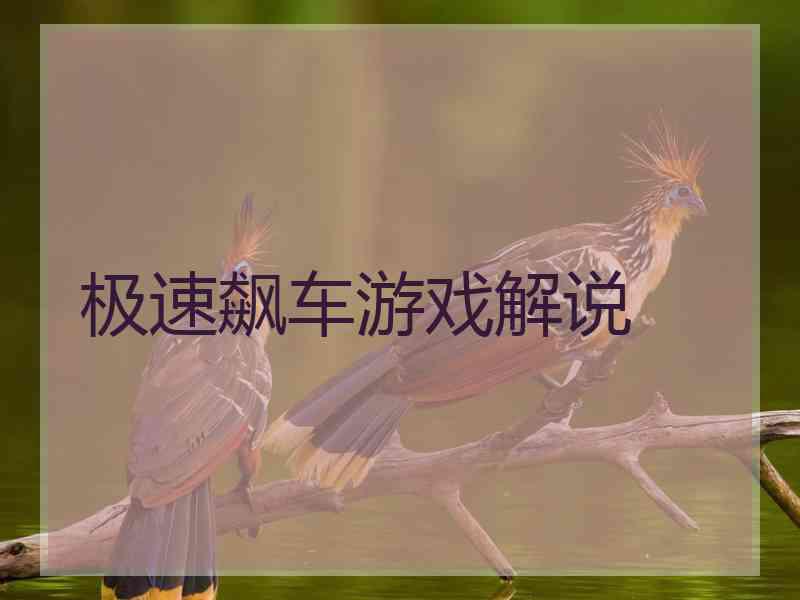 极速飙车游戏解说