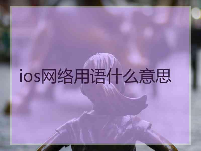 ios网络用语什么意思