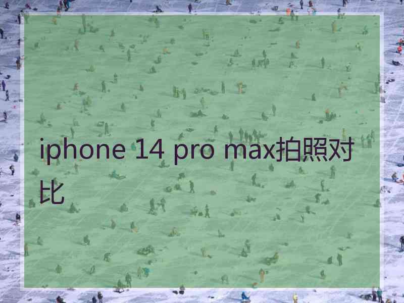 iphone 14 pro max拍照对比