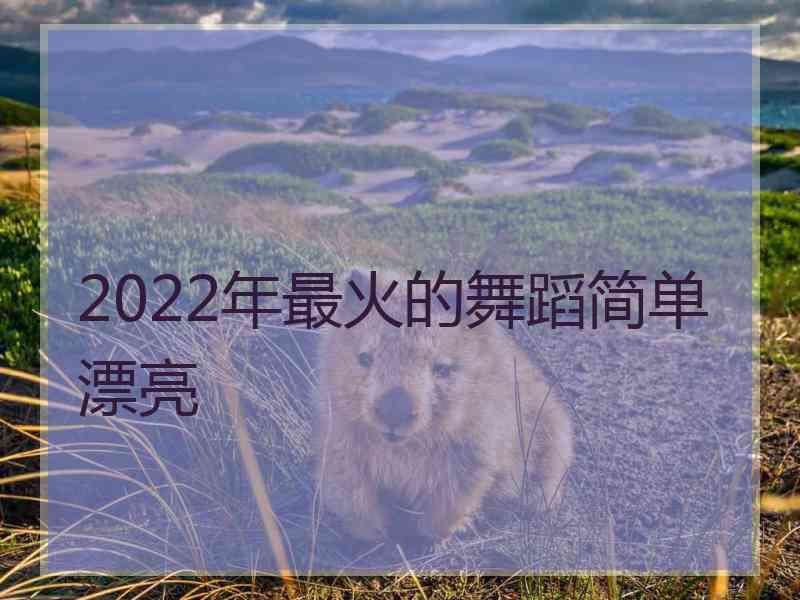 2022年最火的舞蹈简单漂亮