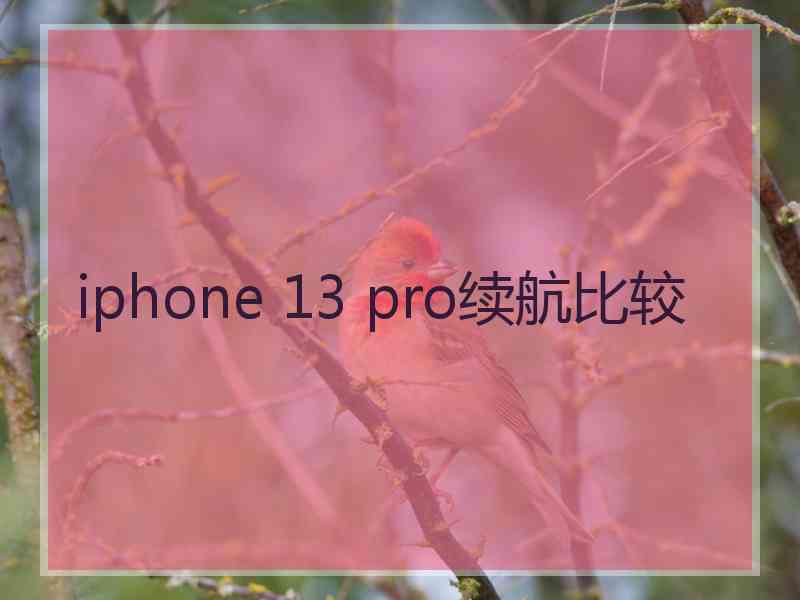 iphone 13 pro续航比较