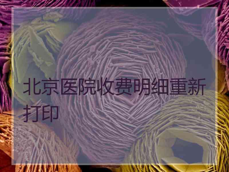 北京医院收费明细重新打印