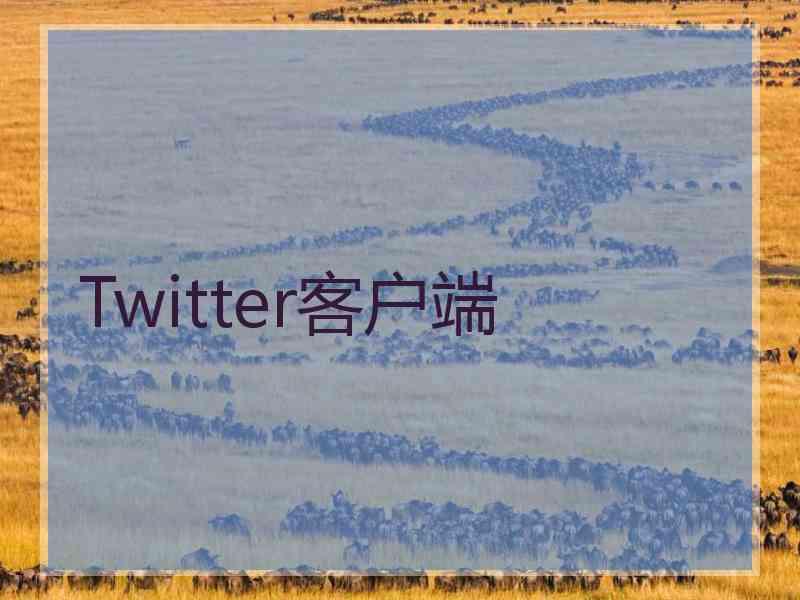 Twitter客户端