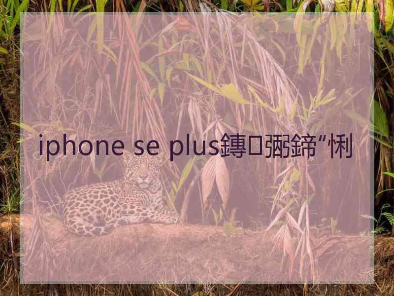 iphone se plus鏄弻鍗″悧