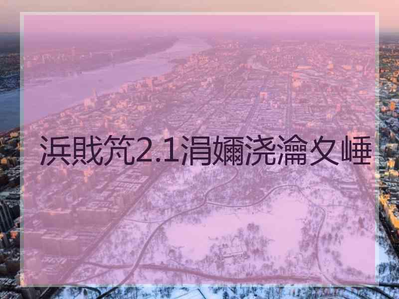 浜戝竼2.1涓嬭浇瀹夊崜