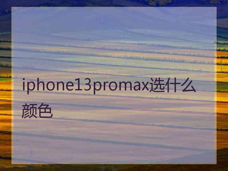 iphone13promax选什么颜色