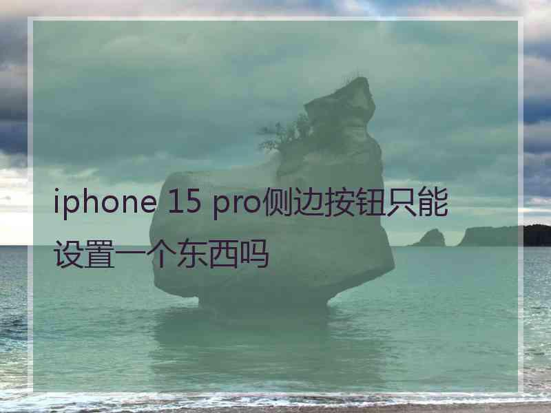 iphone 15 pro侧边按钮只能设置一个东西吗