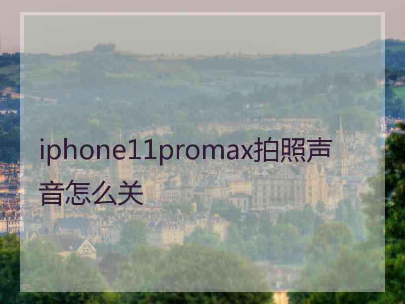 iphone11promax拍照声音怎么关