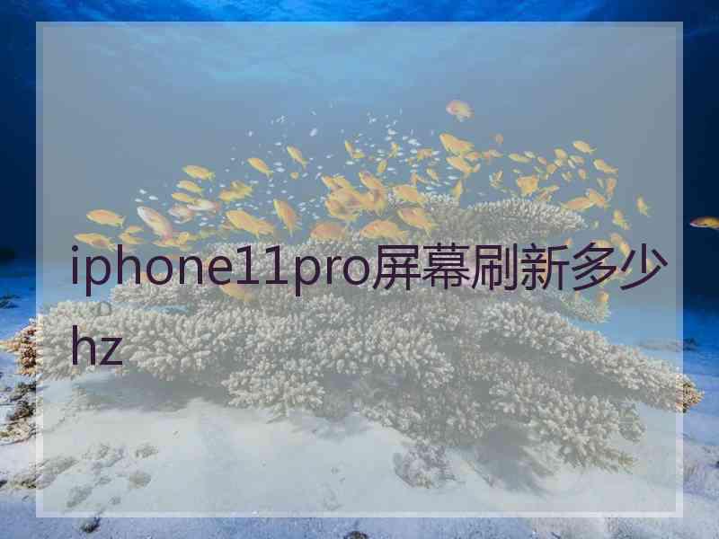 iphone11pro屏幕刷新多少hz