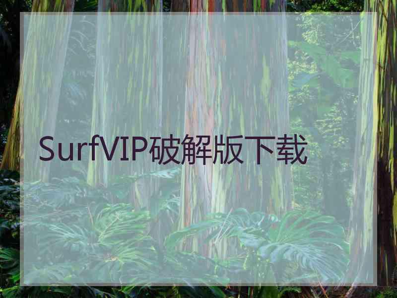 SurfVIP破解版下载