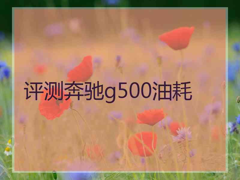 评测奔驰g500油耗