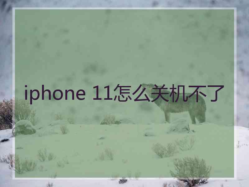 iphone 11怎么关机不了