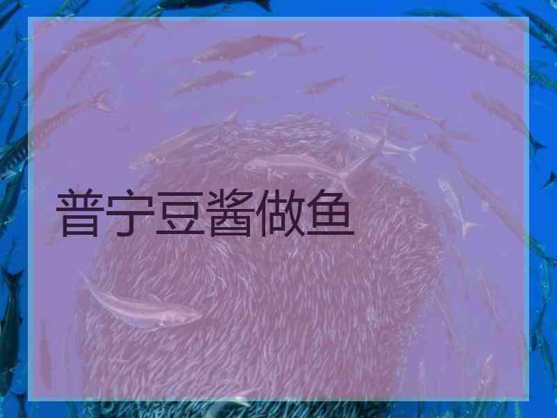 普宁豆酱做鱼