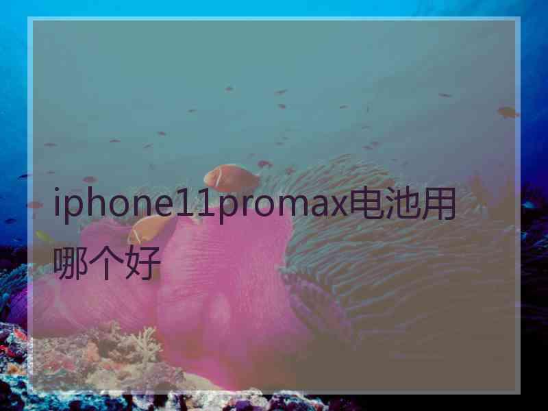 iphone11promax电池用哪个好