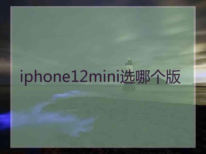 iphone12mini选哪个版