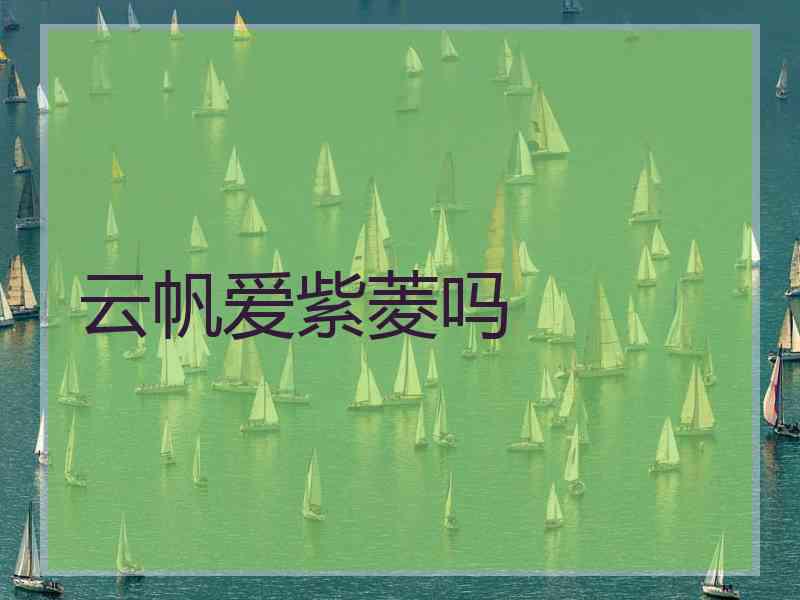 云帆爱紫菱吗