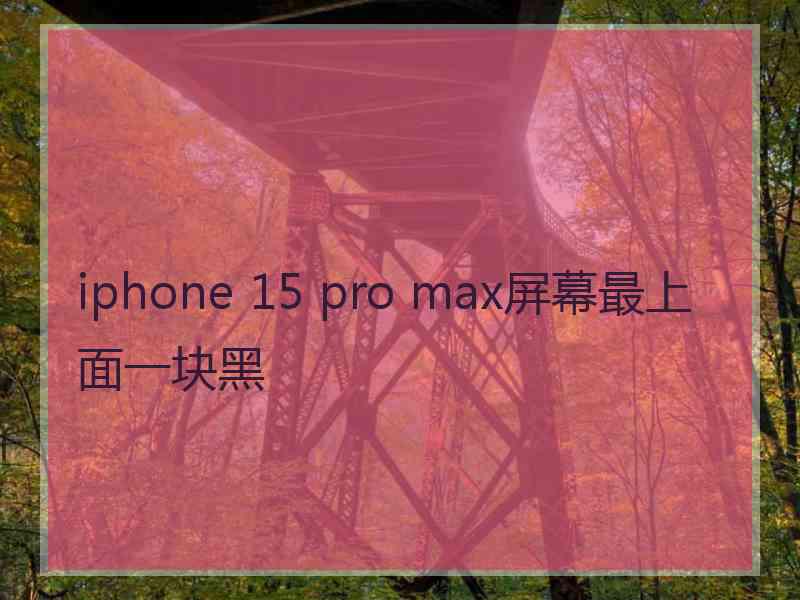 iphone 15 pro max屏幕最上面一块黑