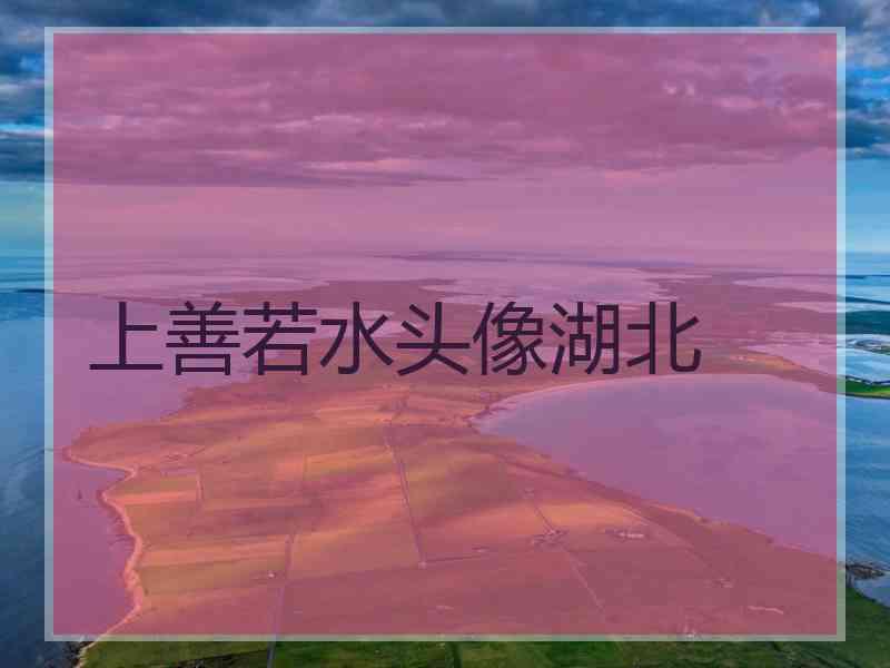 上善若水头像湖北