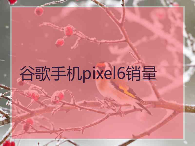 谷歌手机pixel6销量