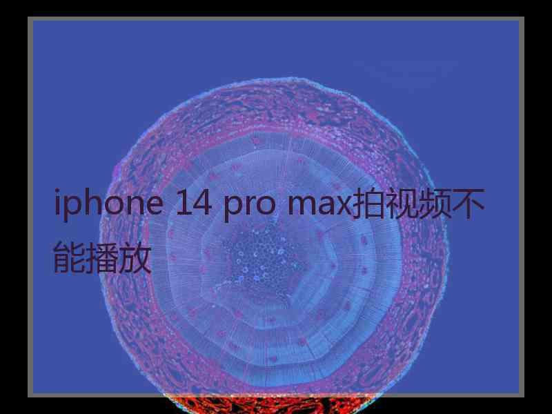 iphone 14 pro max拍视频不能播放