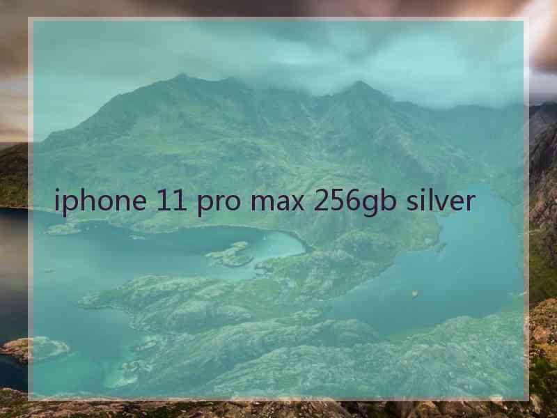 iphone 11 pro max 256gb silver