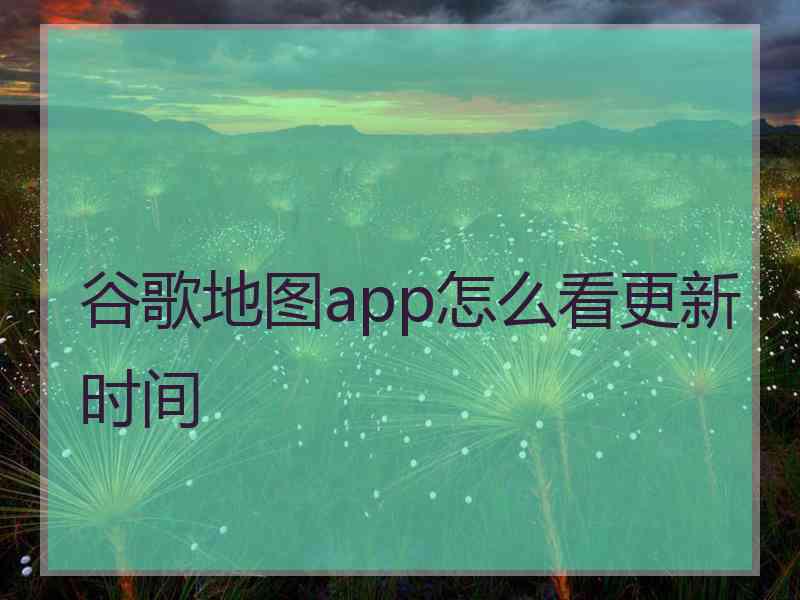 谷歌地图app怎么看更新时间