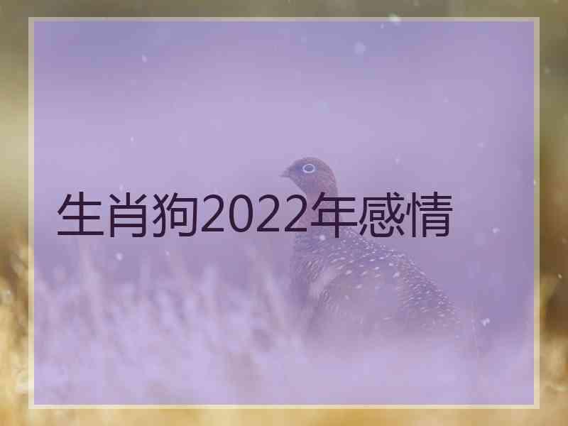 生肖狗2022年感情