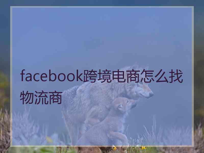 facebook跨境电商怎么找物流商