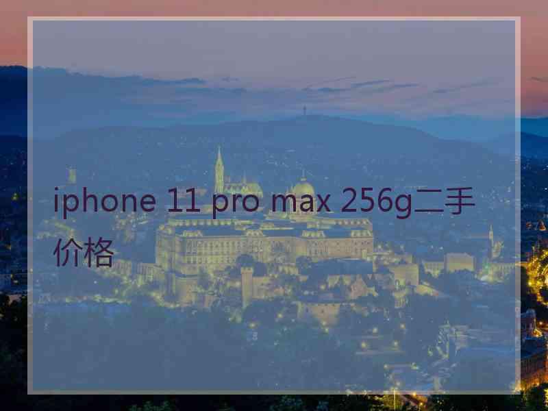 iphone 11 pro max 256g二手价格