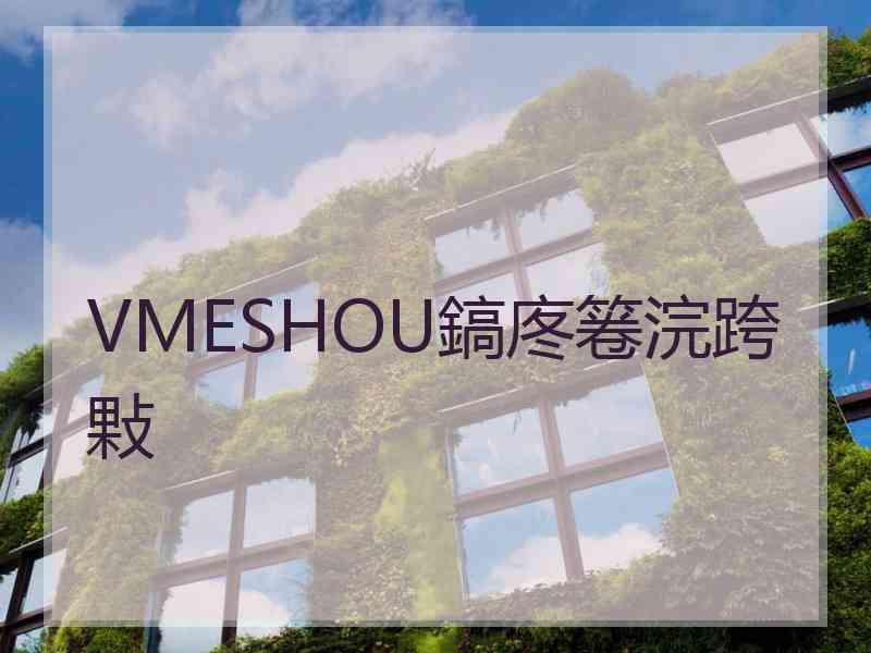 VMESHOU鎬庝箞浣跨敤