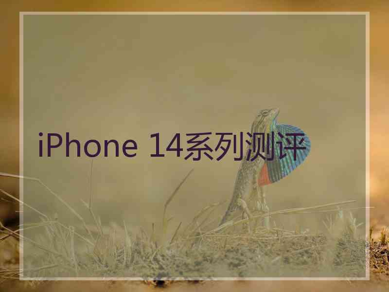 iPhone 14系列测评