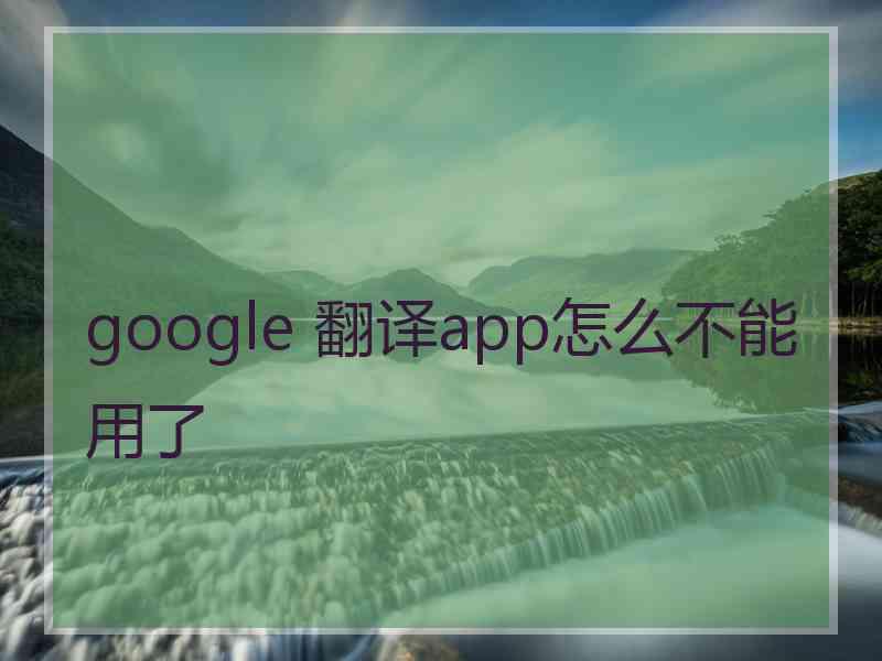 google 翻译app怎么不能用了