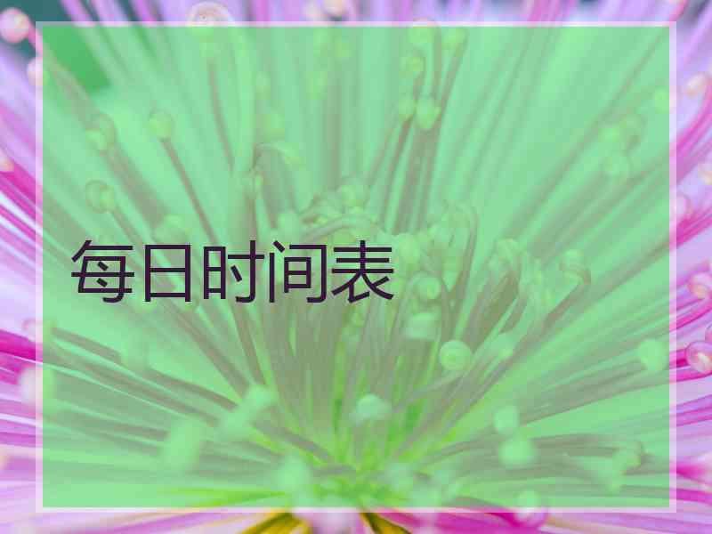 每日时间表