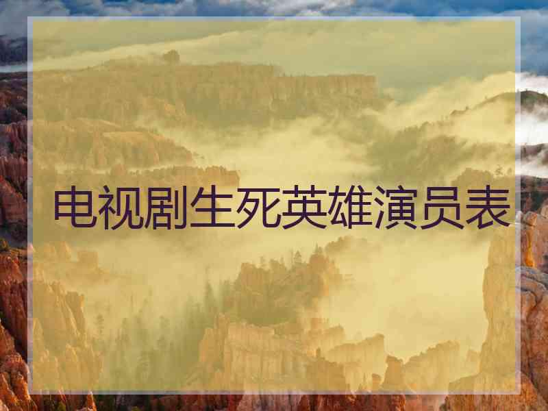 电视剧生死英雄演员表