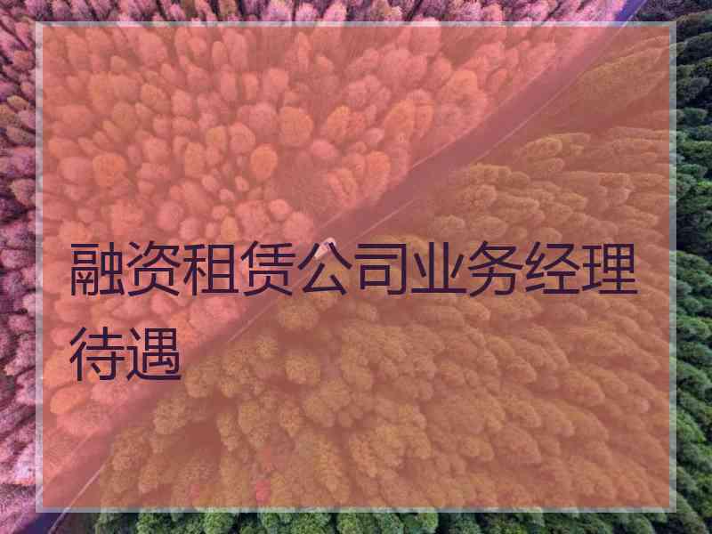 融资租赁公司业务经理待遇