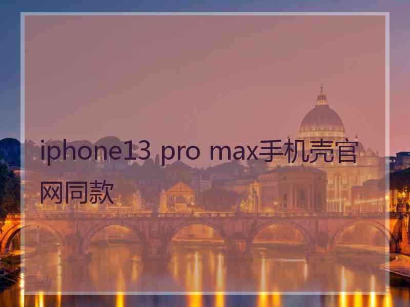 iphone13 pro max手机壳官网同款